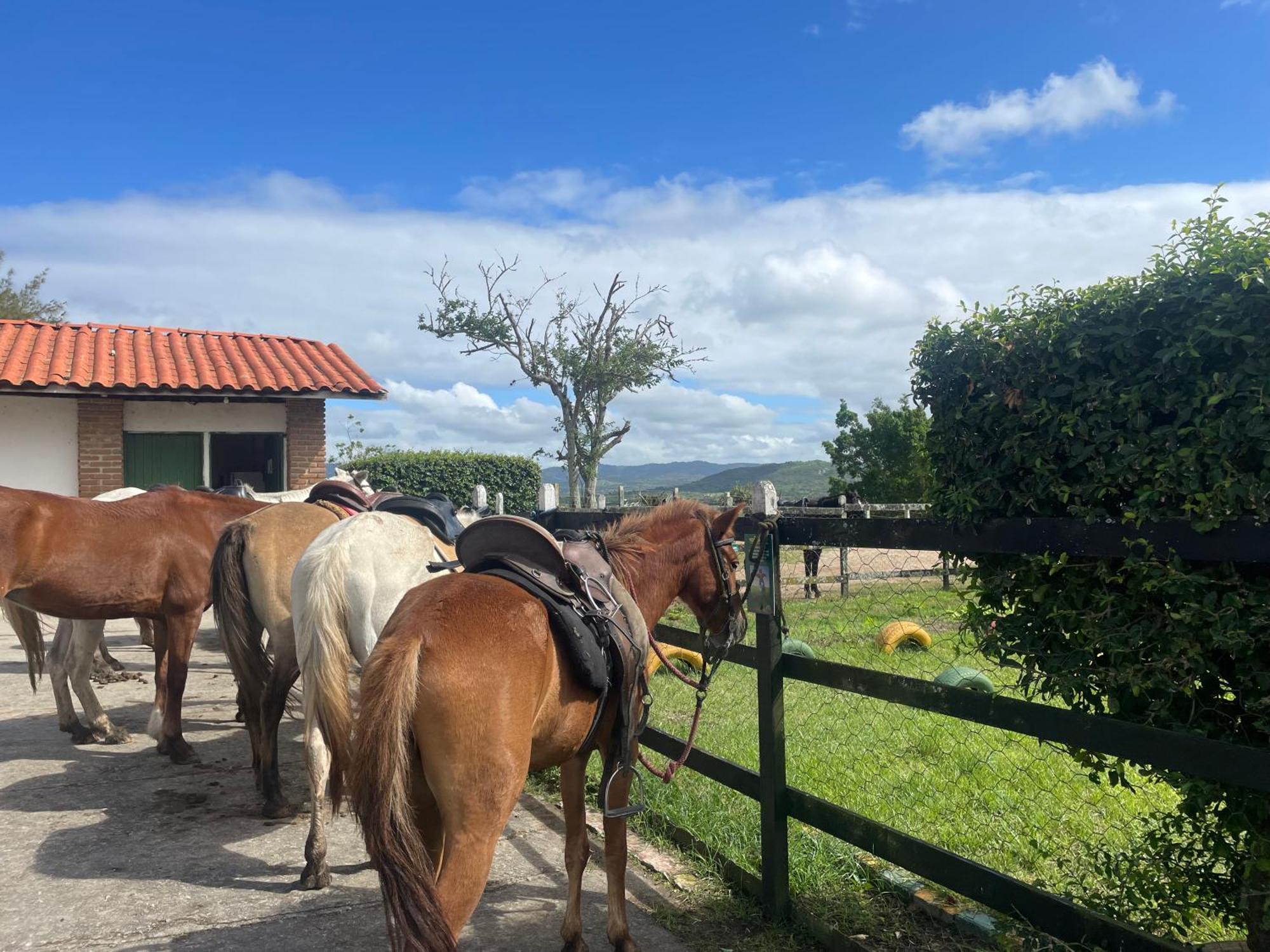 Appartamento Gravatá Monte Castelo Flat Esterno foto